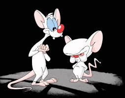 Pinky and the Brain.jpg